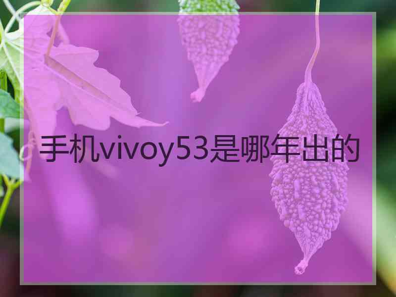 手机vivoy53是哪年出的