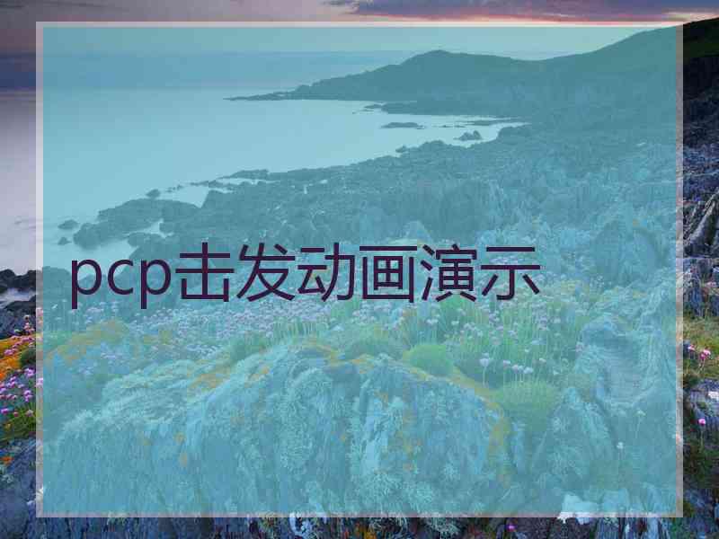 pcp击发动画演示