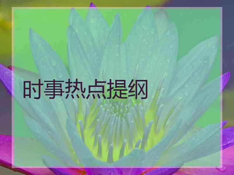 时事热点提纲