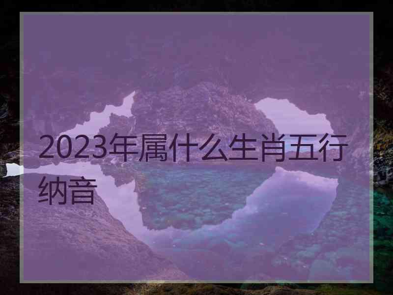 2023年属什么生肖五行纳音