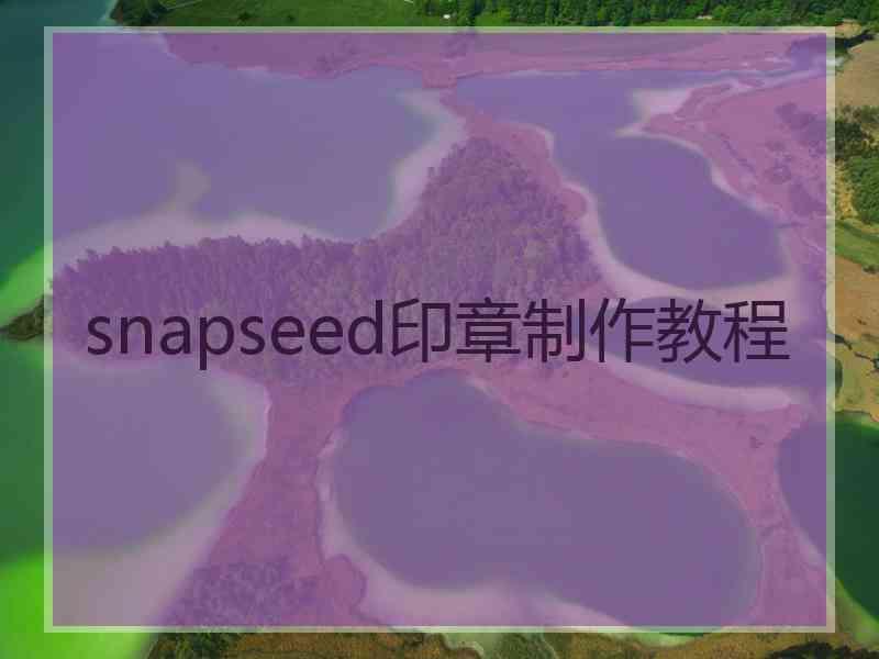 snapseed印章制作教程