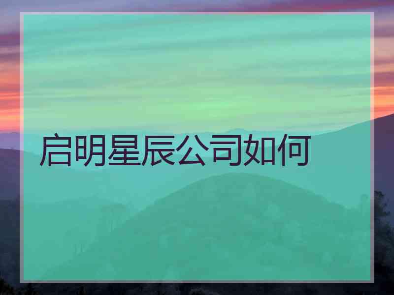 启明星辰公司如何