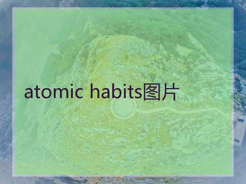 atomic habits图片