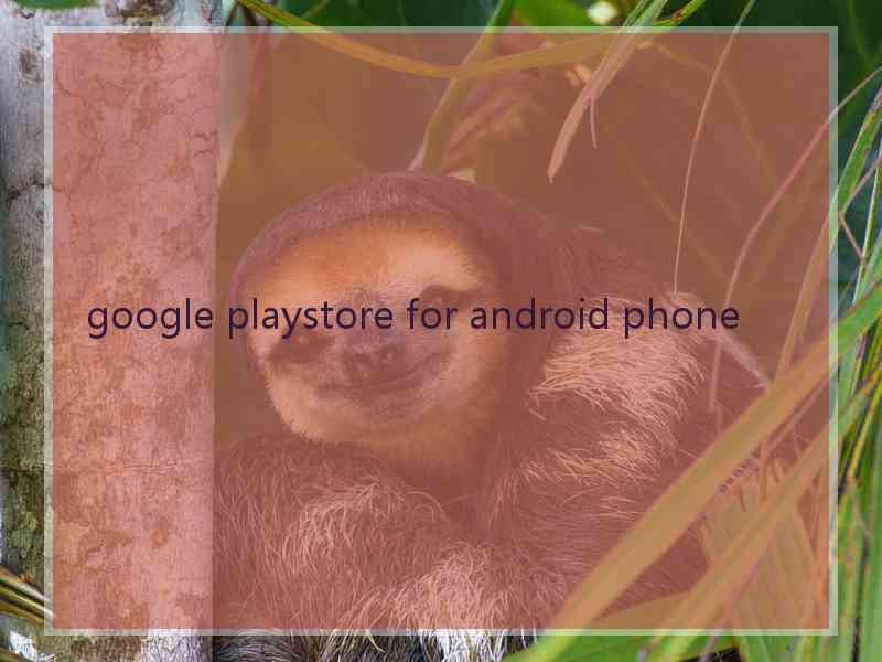 google playstore for android phone