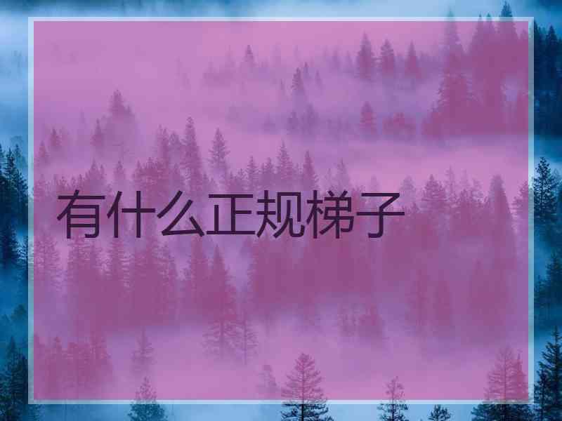 有什么正规梯子