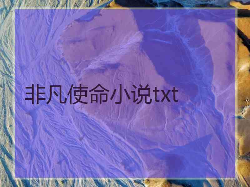 非凡使命小说txt