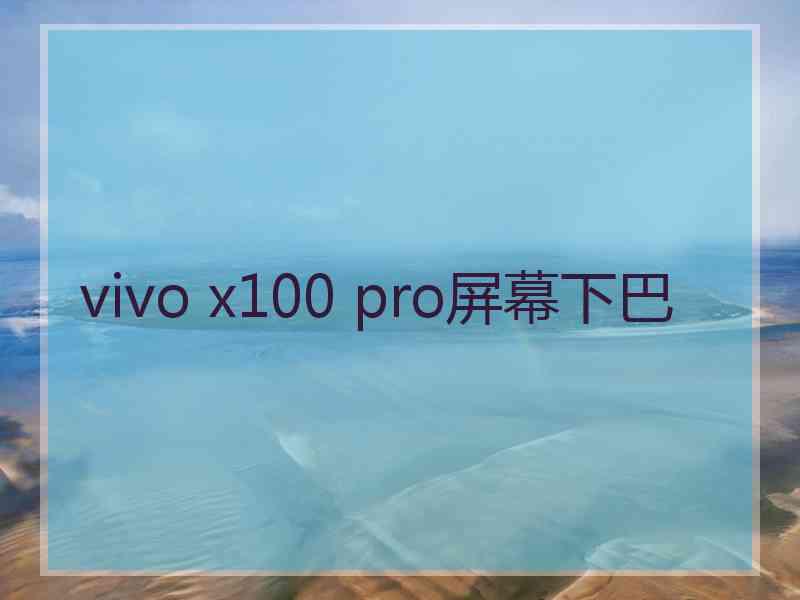 vivo x100 pro屏幕下巴