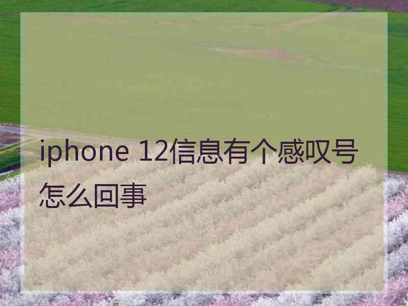 iphone 12信息有个感叹号怎么回事