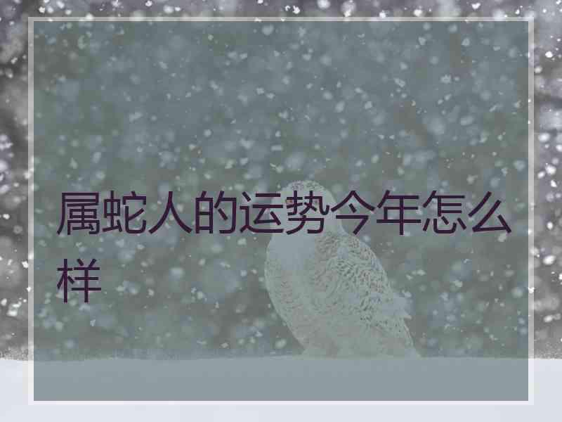 属蛇人的运势今年怎么样