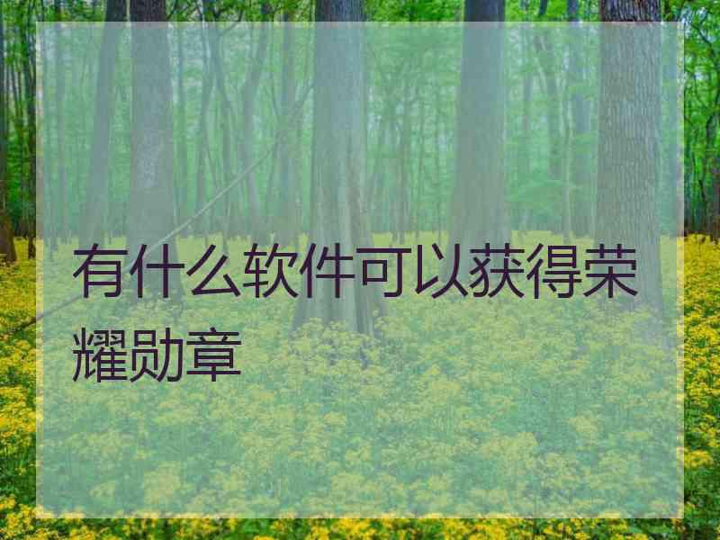 有什么软件可以获得荣耀勋章