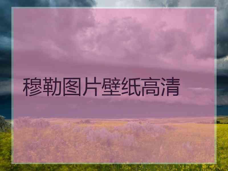 穆勒图片壁纸高清