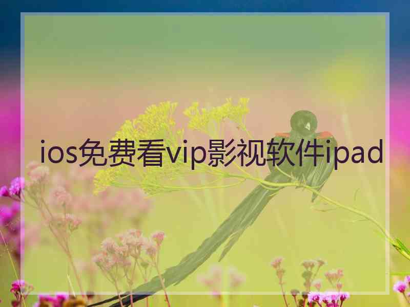 ios免费看vip影视软件ipad