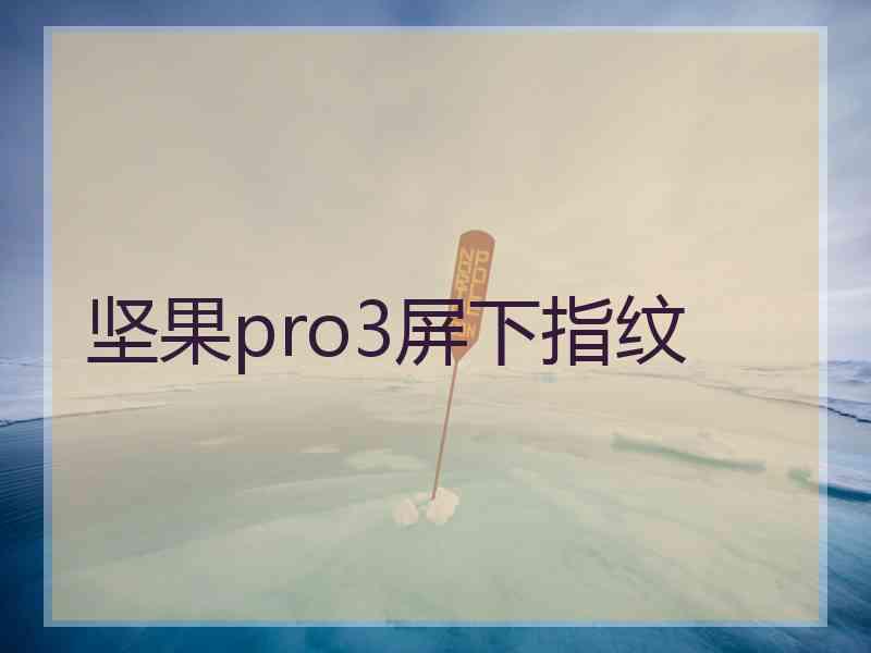 坚果pro3屏下指纹