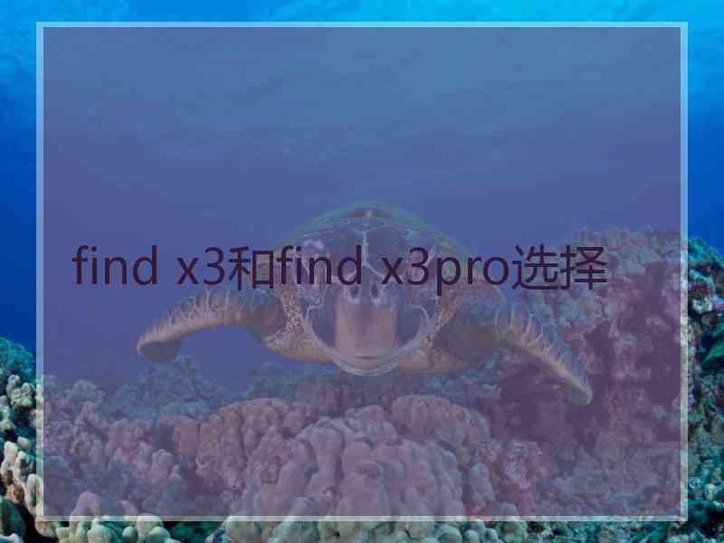 find x3和find x3pro选择