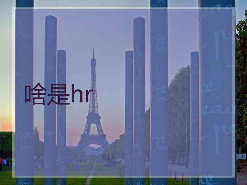 啥是hr