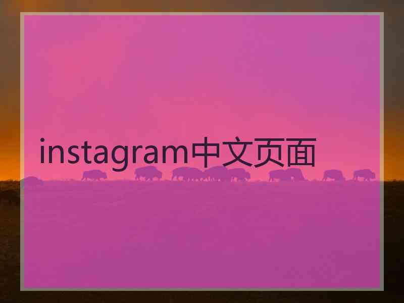 instagram中文页面