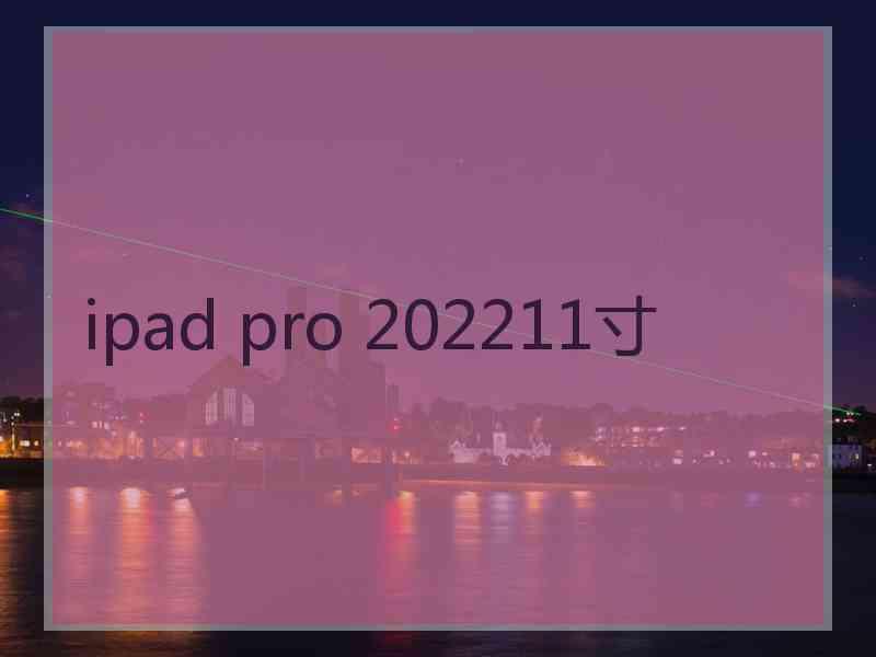 ipad pro 202211寸