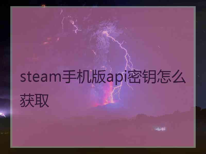 steam手机版api密钥怎么获取