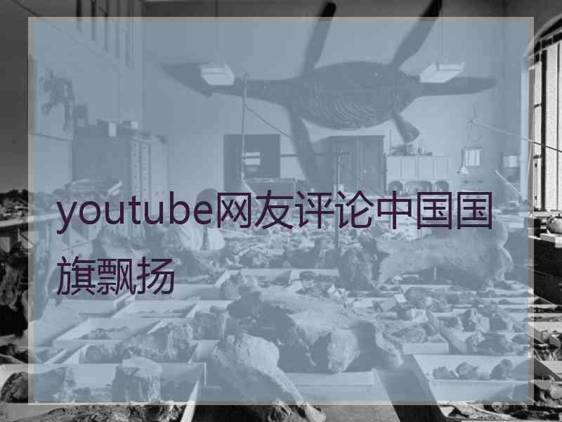 youtube网友评论中国国旗飘扬