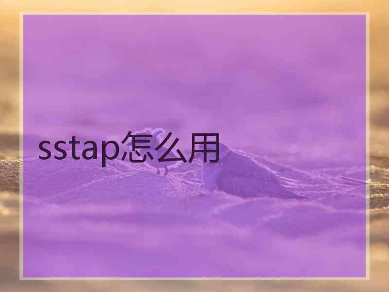 sstap怎么用