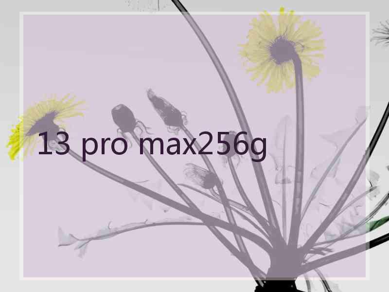 13 pro max256g