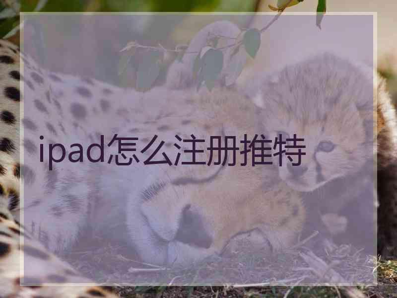 ipad怎么注册推特