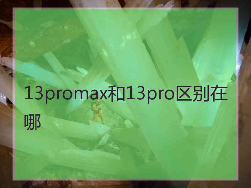 13promax和13pro区别在哪