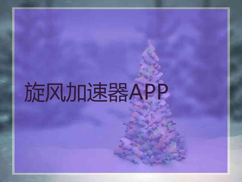 旋风加速器APP