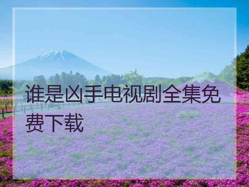 谁是凶手电视剧全集免费下载