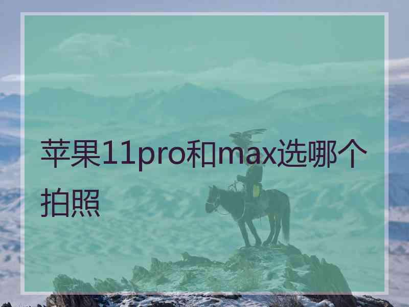 苹果11pro和max选哪个拍照