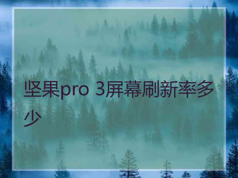 坚果pro 3屏幕刷新率多少