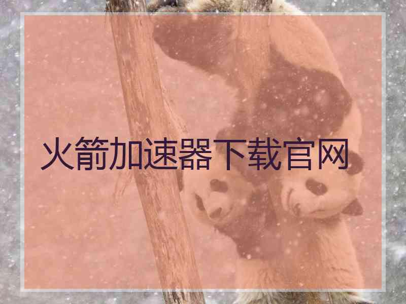 火箭加速器下载官网