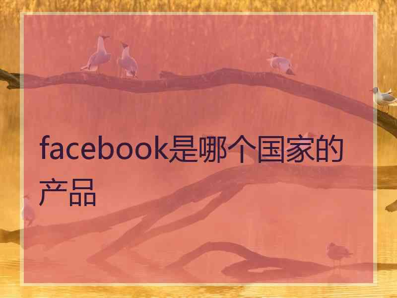 facebook是哪个国家的产品