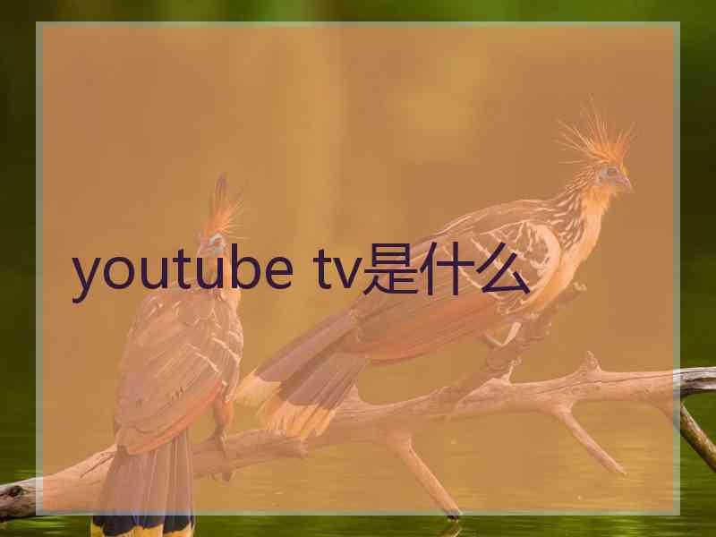 youtube tv是什么