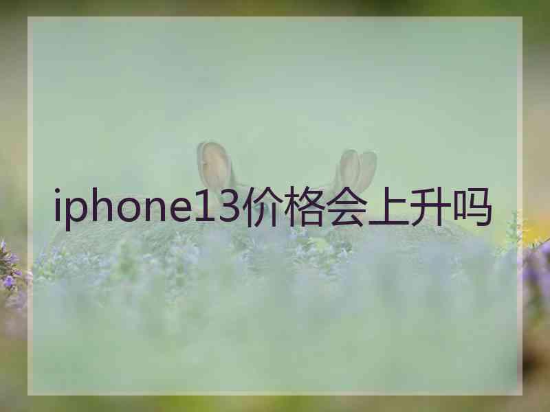 iphone13价格会上升吗