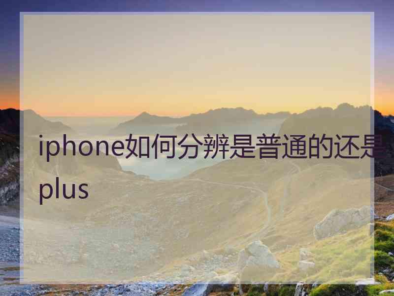 iphone如何分辨是普通的还是plus