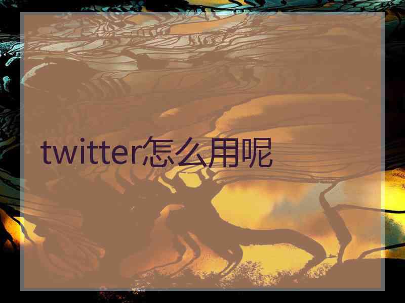 twitter怎么用呢