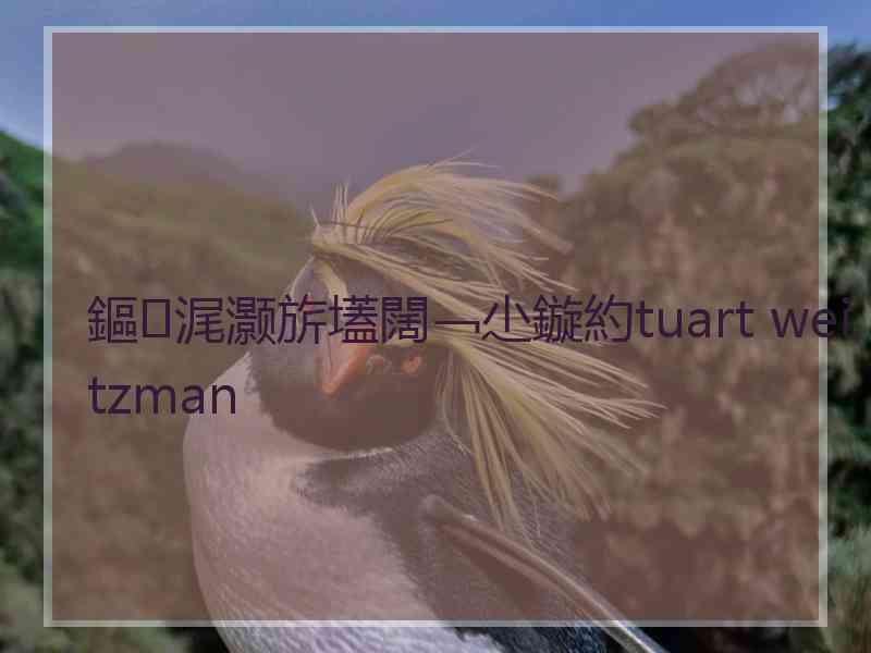 鏂浘灏旂壒闊﹁尐鏇約tuart weitzman