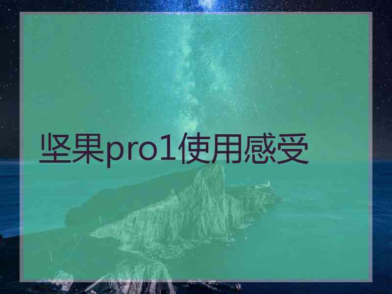 坚果pro1使用感受