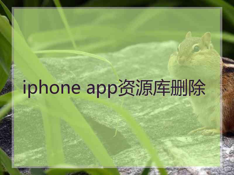 iphone app资源库删除