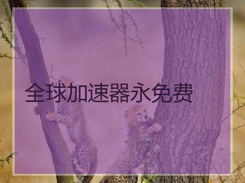 全球加速器永免费