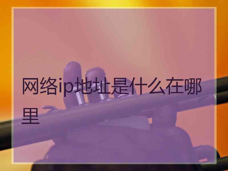 网络ip地址是什么在哪里