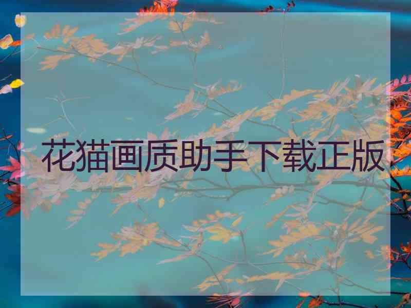 花猫画质助手下载正版