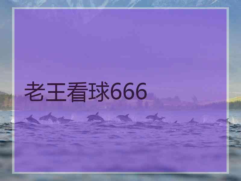 老王看球666