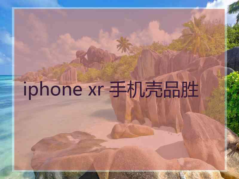 iphone xr 手机壳品胜