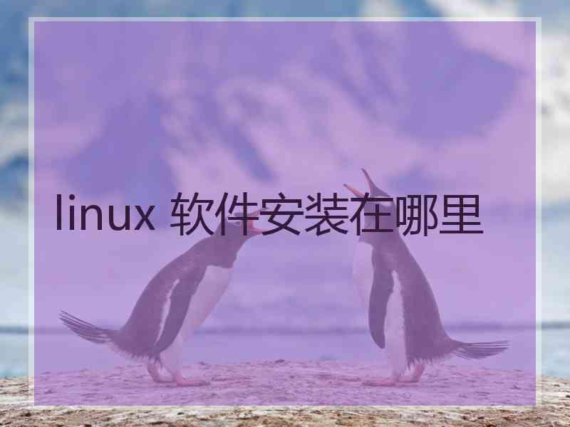 linux 软件安装在哪里