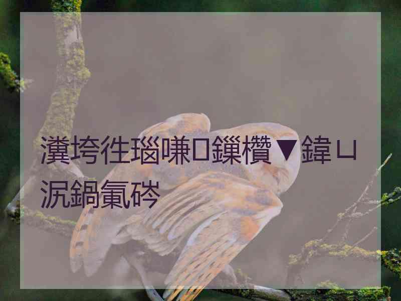 瀵垮徃瑙嗛鏁欑▼鍏ㄩ泦鍋氭硶