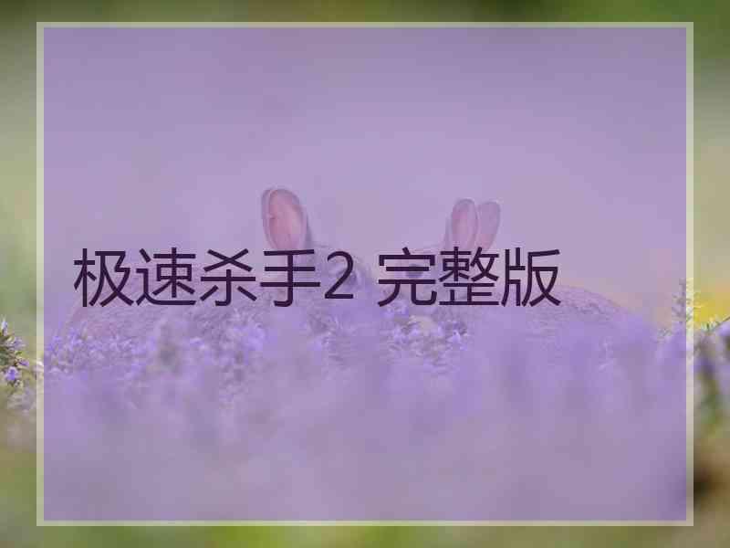 极速杀手2 完整版