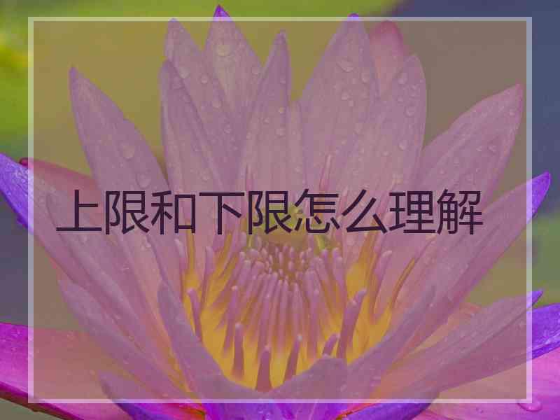 上限和下限怎么理解