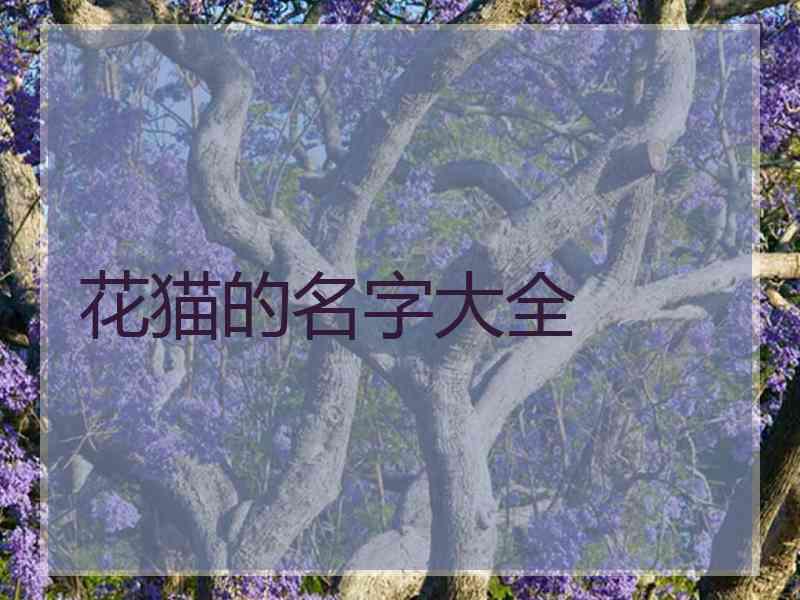 花猫的名字大全